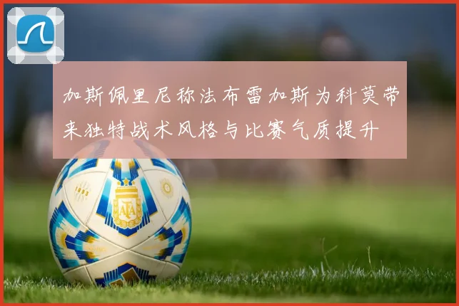 加斯佩里尼称法布雷加斯为科莫带来独特战术风格与比赛气质提升