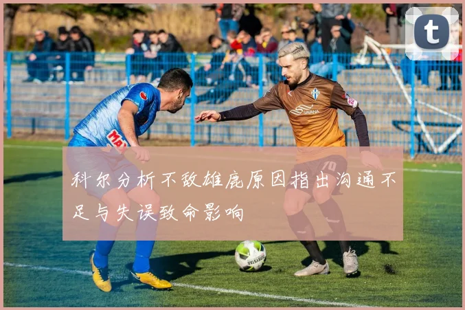 科尔分析不敌雄鹿原因指出沟通不足与失误致命影响