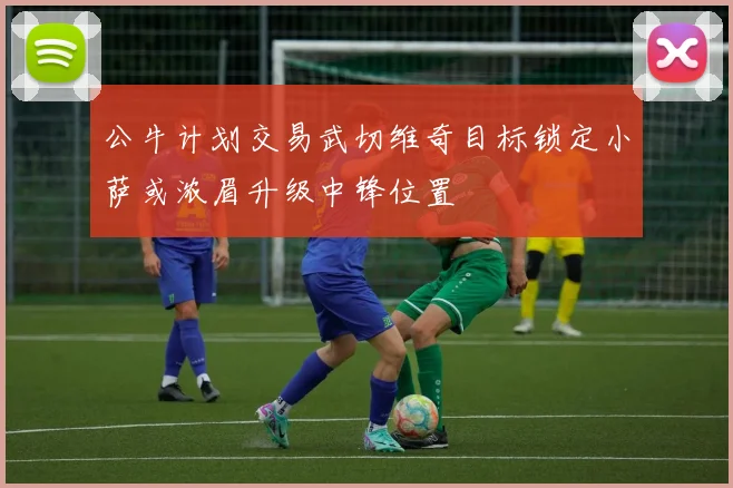 公牛计划交易武切维奇目标锁定小萨或浓眉升级中锋位置