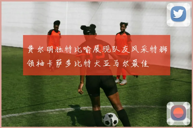 费尔明独特比喻展现队友风采特狮领袖卡萨多比特犬亚马尔最佳