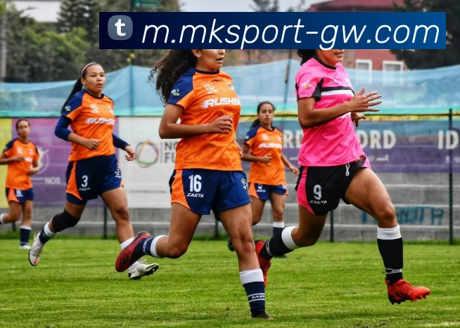 MK体育服务体系